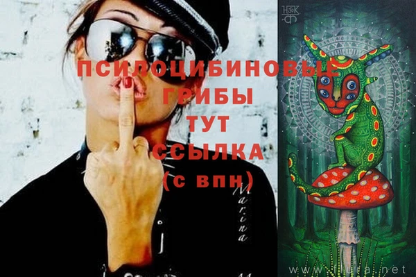 крисы Алексин