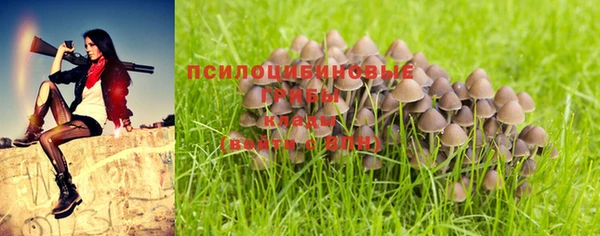 крисы Алексин